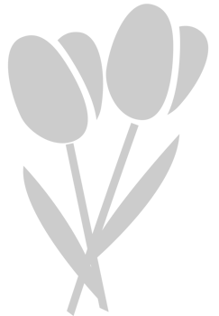 In Memory Of Flowers vector