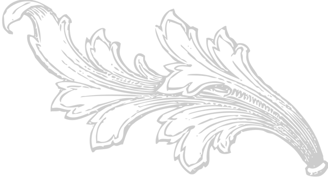 Decoration acanthus vector