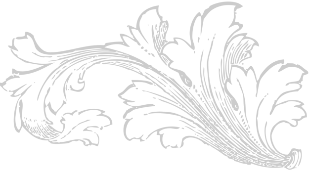 Decoration acanthus vector
