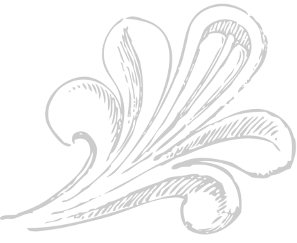 Decoration acanthus vector