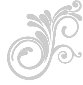Decoration swirl vector