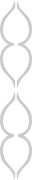 Decoration vector