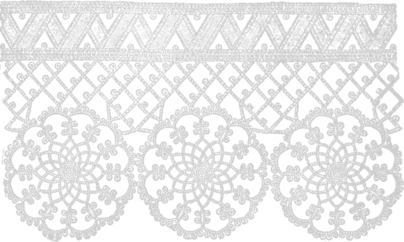 Decoration lace vector