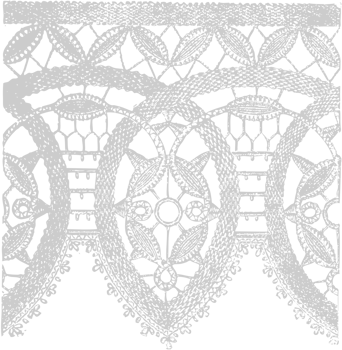 Decoration lace vector