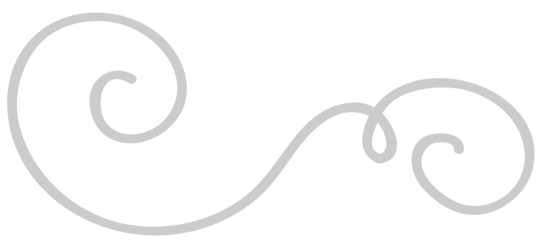 Decoration swirl line vector