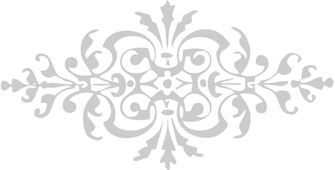 Ornament vector