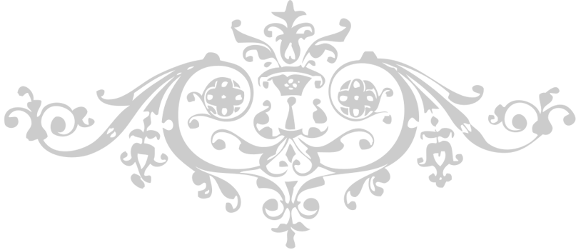 Ornament vector