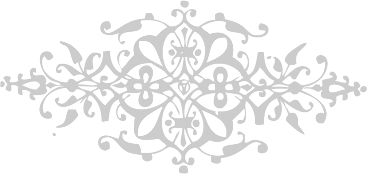 Ornament vector