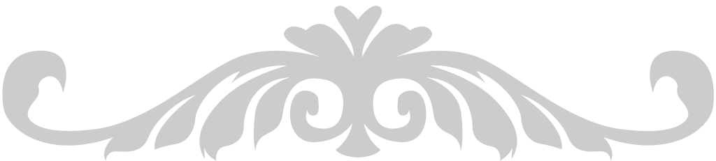 Decoration western flourish vector