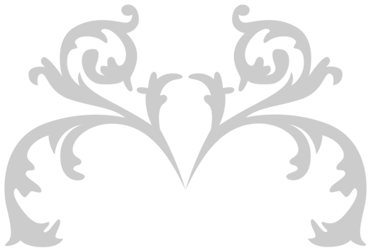 Decoration western flourish vector