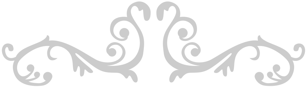 Decoration western flourish vector