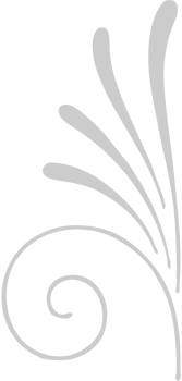Decoration typographic line vector