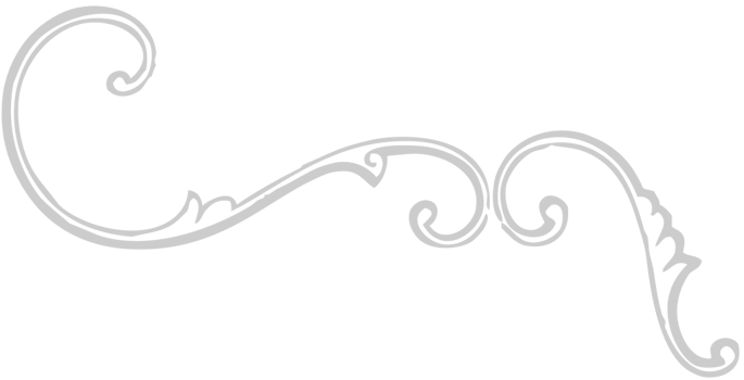 Decoration typographic  vector