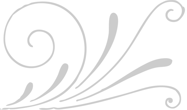 Decoration typographic line vector