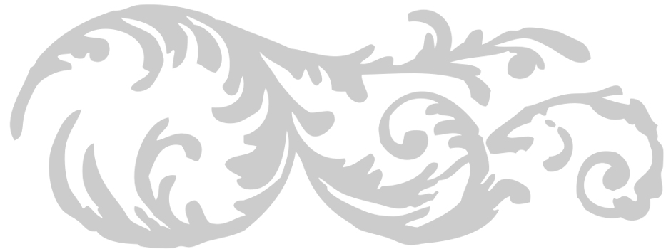 Decoration typographic  vector