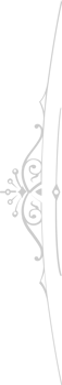 Decoration ornament vector