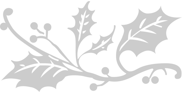 Decoration ornament vector