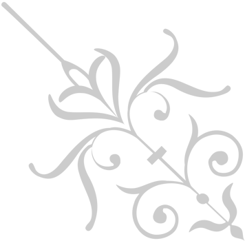 Decoration ornament vector