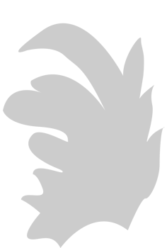 Decoration floral vector