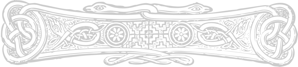 Decoration celtic vector