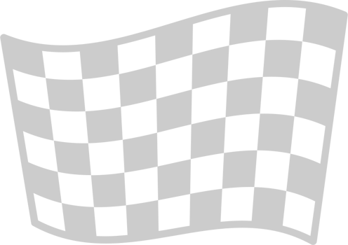 Race Flag vector