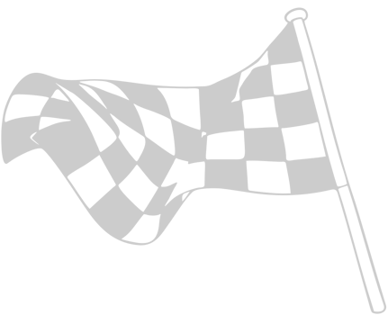 Race Flag vector