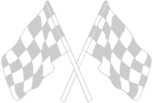 Race Flag vector
