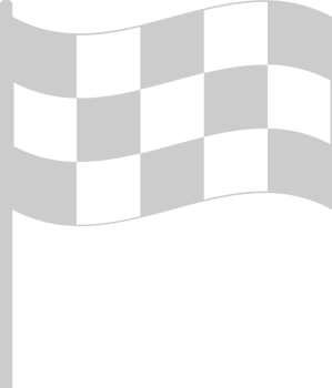 Race Flag vector