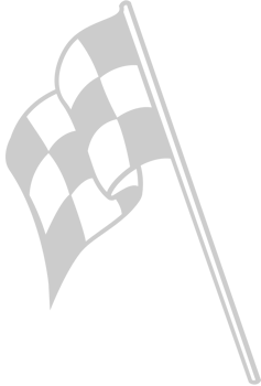 Race Flag vector