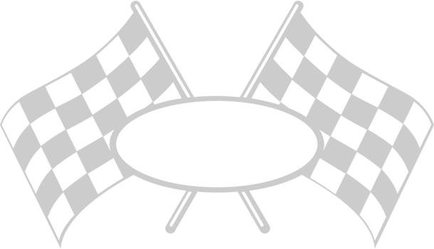 Race Flag vector