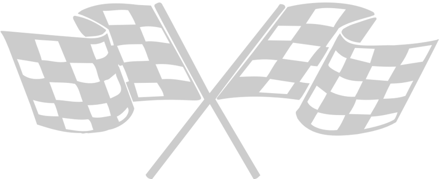 Race Flag vector