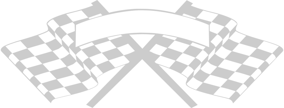 Race Flag vector