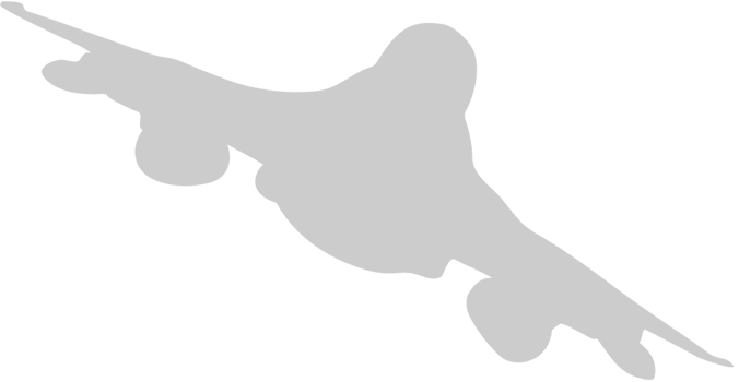 Aircraft vector
