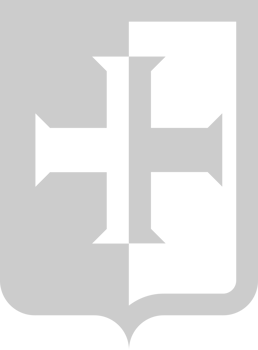 medieval shield vector