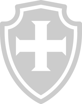 medieval shield vector