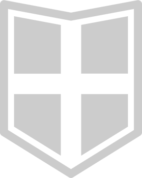 medieval shield vector