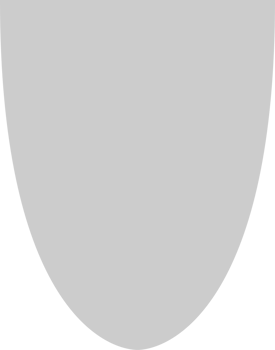 Shield vector