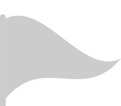 Flag vector