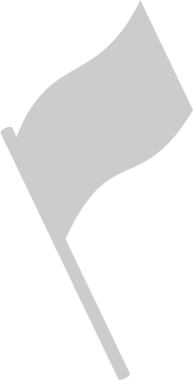 Flag vector