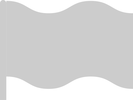 Flag rectangle vector