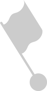 Flag vector