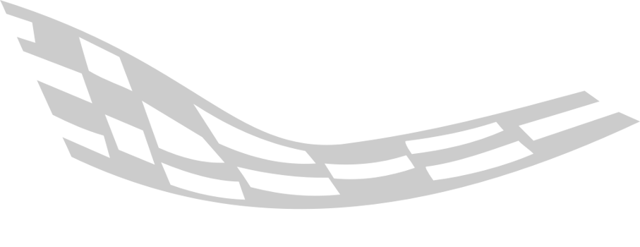 Flag race vector