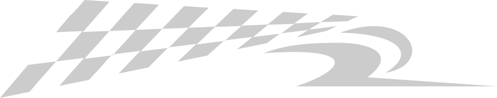 Flag race vector