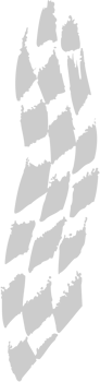 Flag racing vector
