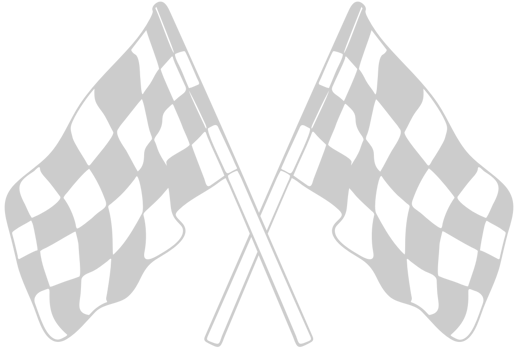 Flag race vector