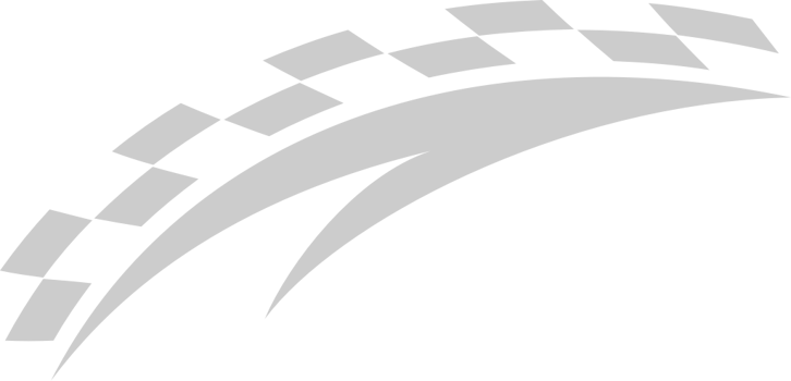 Flag race vector