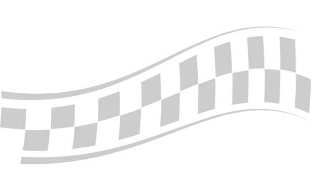 Flag race vector