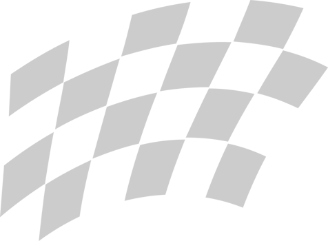 Flag race vector