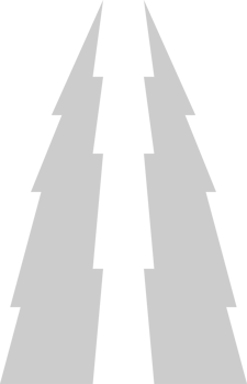 Lightning  vector