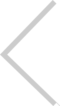 Line vector